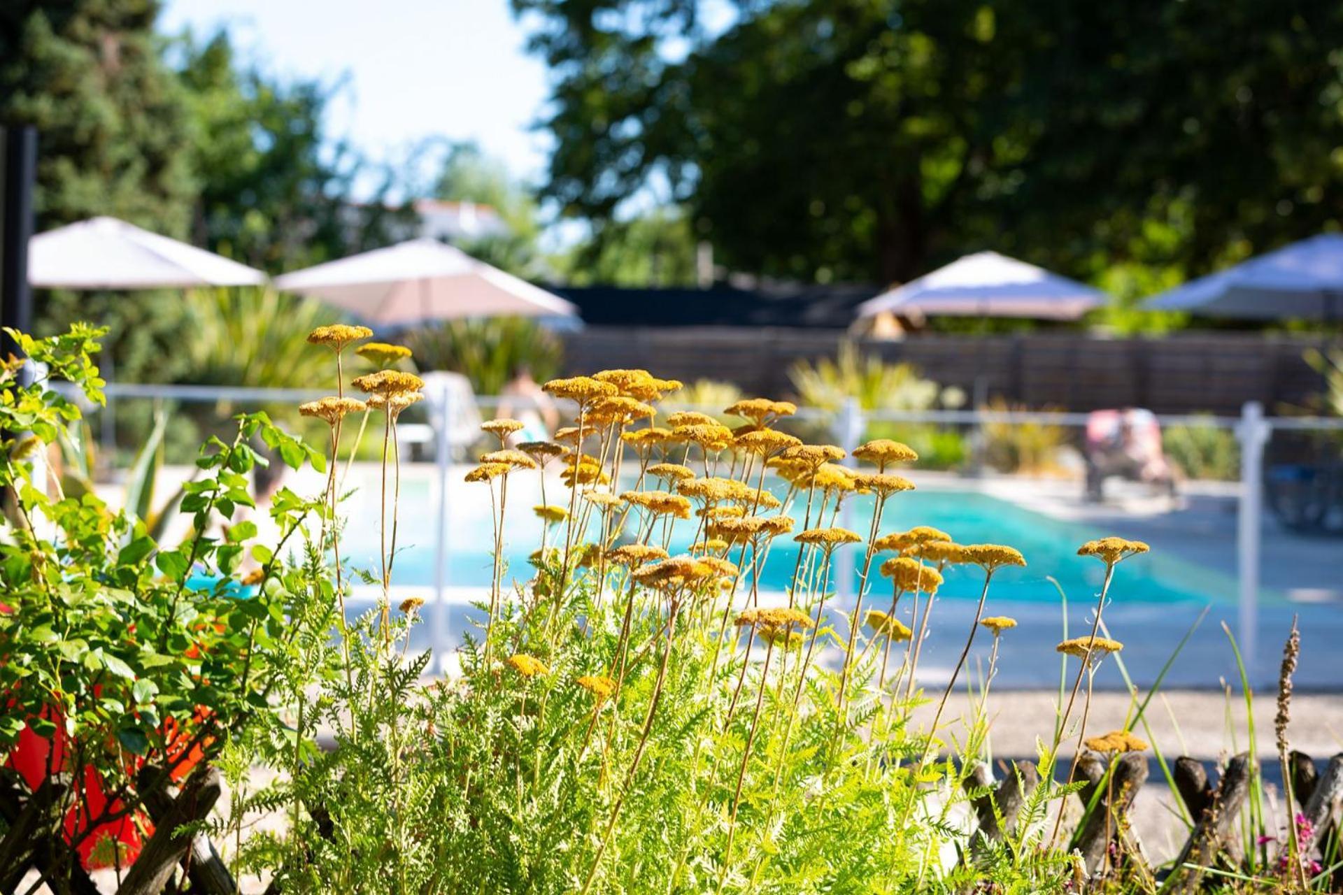 Hotel Mileade Le Domaine De La Blairie - Saumur 圣马丁拉迪拉帕 外观 照片