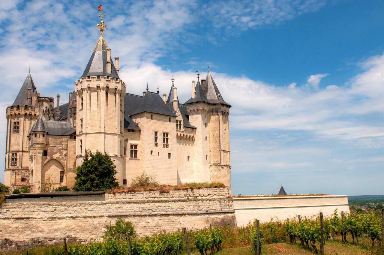 Hotel Mileade Le Domaine De La Blairie - Saumur 圣马丁拉迪拉帕 外观 照片